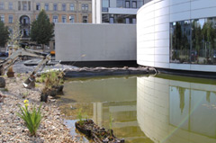 Fertiggestellte Teichanlage im Max Planck Institut Leipzig