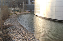 Fertiggestellte Teichanlage im Max Planck Institut Leipzig