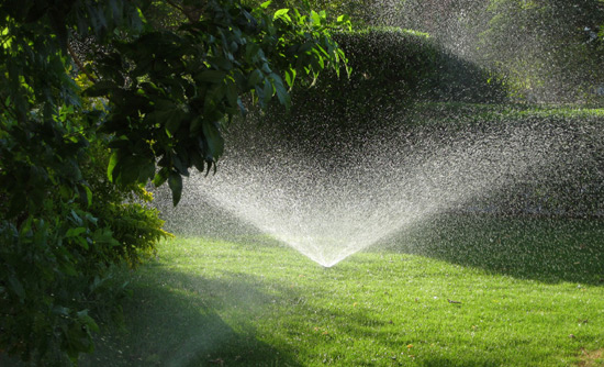 Gartenbau und Landschaftspflege M.Harzendorf